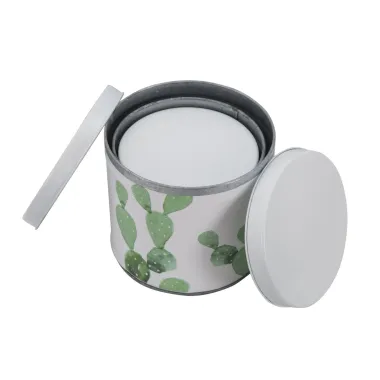 Zestawy Puszek Kaktus 3 szt. Ø 15x13,5-14x11,5-12,5x10 cm MIN 2